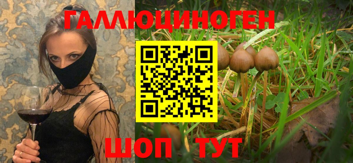 Галлюциногенные грибы мицелий  Вход с VPN  Псилоцибиновые грибы ЛСД  Донецк 