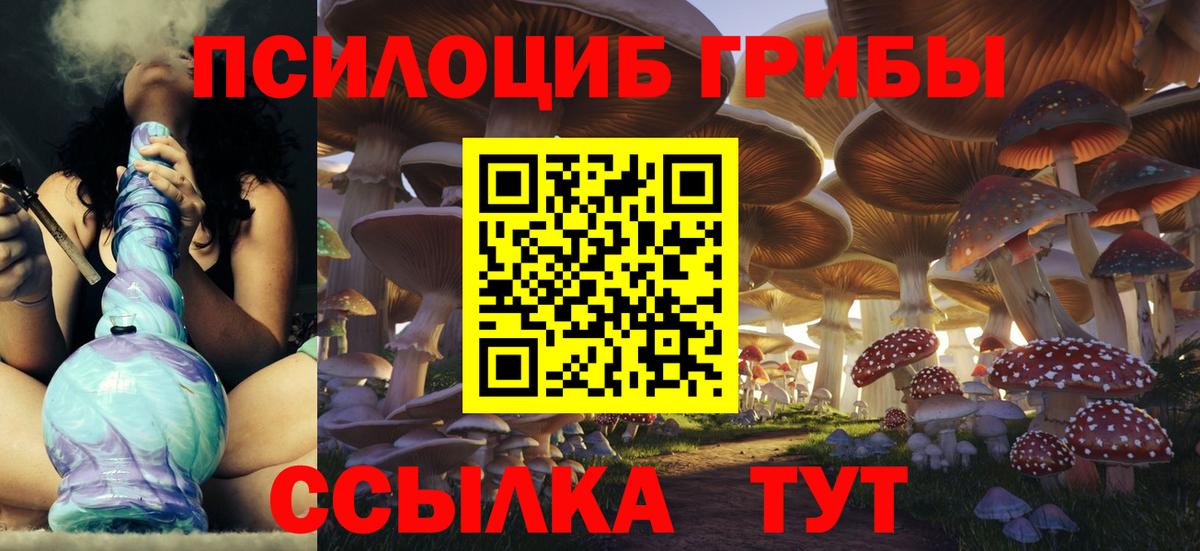 Псилоцибиновые грибы Cubensis Донецк